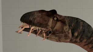 Allosaurus Swallow Side on only Vore Animation (No Sound)