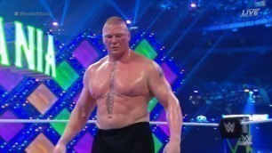 Brock Lesnar Puts a Big Gaping Hole in Roman Reigns..